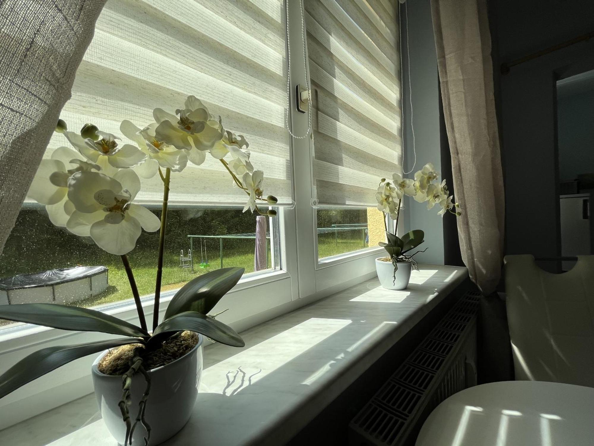 Gemuetliche Kleine In Altenberg